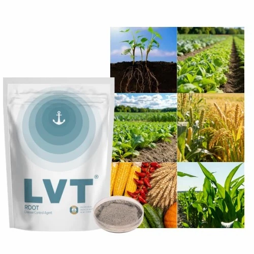 product-500-500 product-500-500